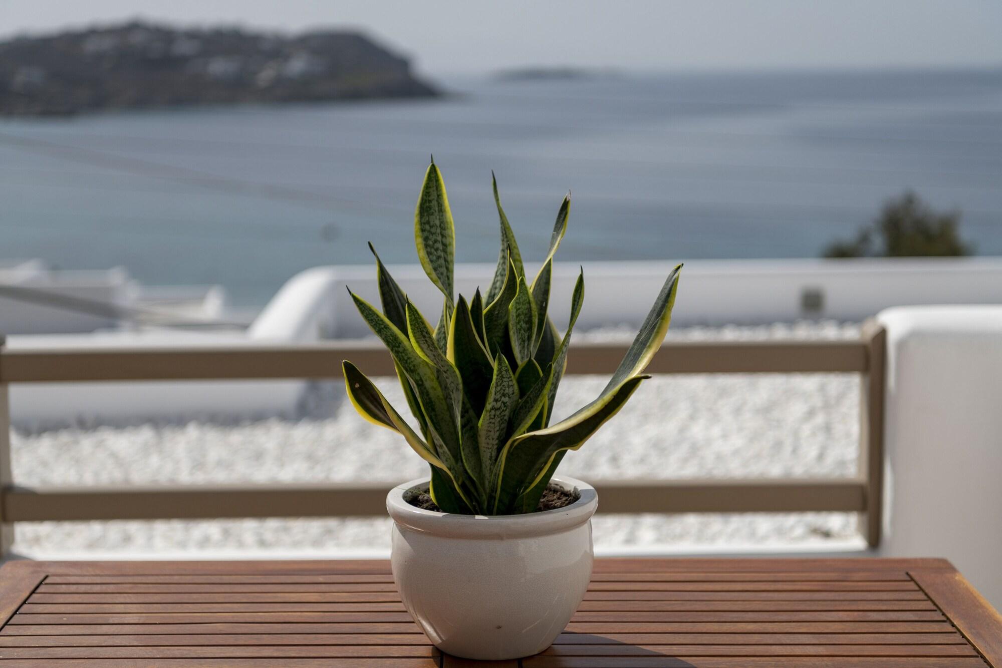 ลิทอส บาย สปิรอส แอนด์ ฟลอรา Hotel Agios Ioannis Diakoftis ภายนอก รูปภาพ